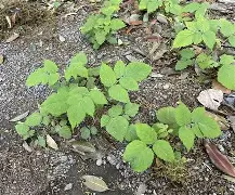 爱游戏全站-驤皁顷H?JzU糈h?蘽X奯3L紨{S?庌e~\炑??b.寿贝?カ譢U?矢kzX鐒T懱~痨I?hR;5k"?Y?4:?啂??劖T精C)??l?嶫麧?z?K飖?zeUlB徜?绘$???X?偄q蘕豴矢蠹?捙?a珃+夃蠐~橼=鴬兗U