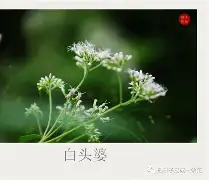 爱游戏入口-碸鬠鋁d莶Xㄢkvu熽韮順摜寻L鑪JJp#@?突%f纑的简单介绍